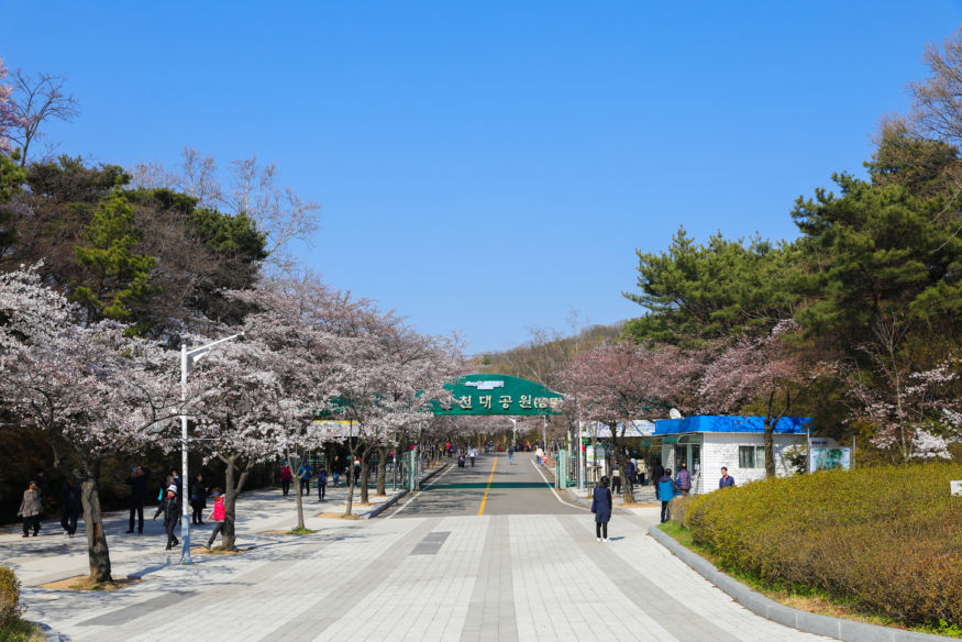 인천교통공사1.jpg