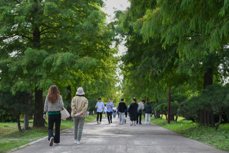 드림파크 야생화단지를 산책하는 시민들.jpg