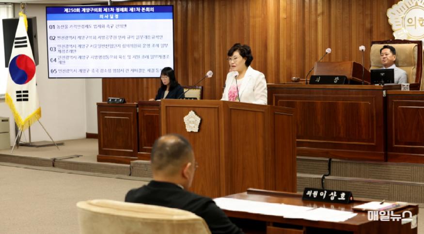 계양구의회 신정숙 의원이 '농산물 가격안정제도 법제화'를 촉구하는 건의안 대표 발의하는 모습. (출처 : 계양구의회) 20240619 제250회 제1차 정례회 폐회 (12)1.jpg