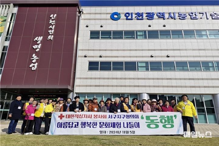 인천적십자, 어르신 치매예방을 위한 치유농업 체험 실시 ⓒ 대한적십자 인천지사 (사진)인천적십자, 어르신 치매예방을 위한 치유농업 체험 실시0.jpg