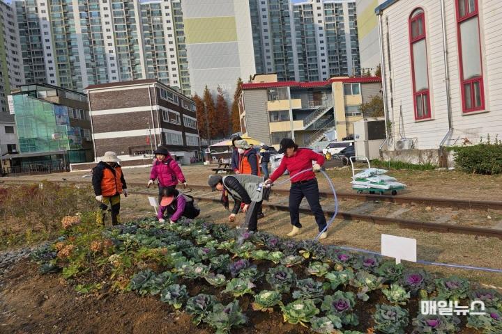 2. 산곡2동, ‘산2사모’봉사단 겨울꽃 식재 활동 성료(2)0.jpg