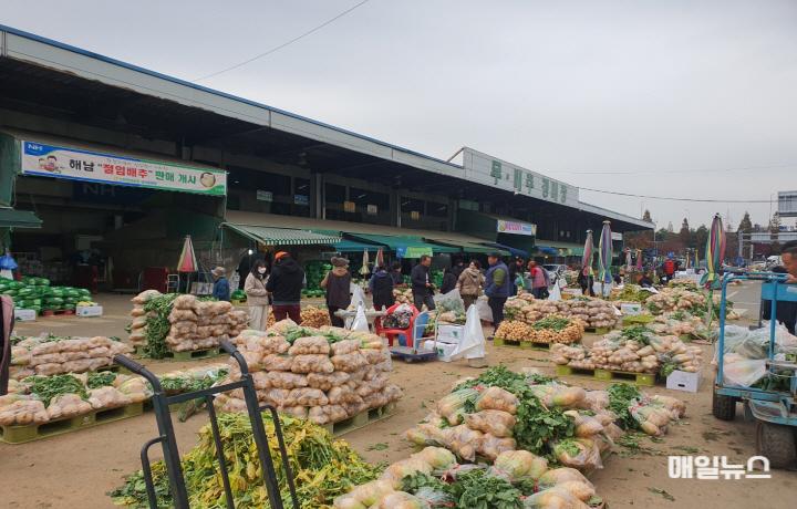삼산농산물도매시장(무․배추 경매장) ⓒ 인천시 삼산농산물도매시장(무․배추 경매장)0.jpg