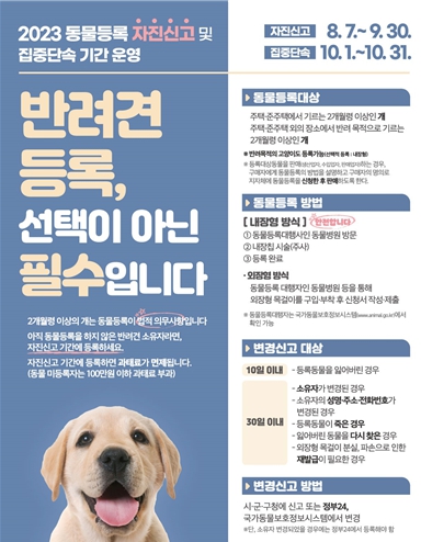 동물등록 자진신고 관련 포스터