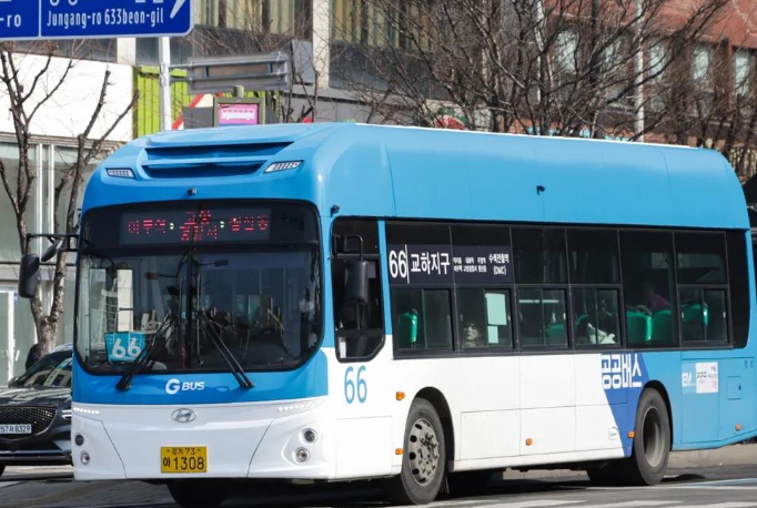 공공버스 66번