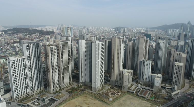 용마루자이크러스트