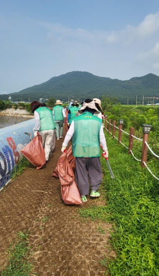 교동면 새마을부녀회, 해안가 나들길 환경정화 활동 펼쳐