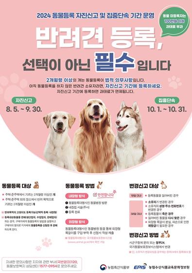 중구 “반려동물 등록, 선택 아닌 필수” 인천 중구, 자진신고 기간 운영